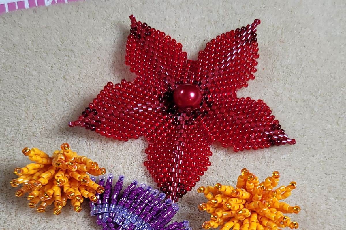 Flowers Flowers Everywhere Five Petaled Flowers The Alluring Bead